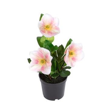 Textilblume Christrose AYANAME, rosa-weiß, 28cm Textilblume Christrose AYANAME, rosa-weiß, 28cm