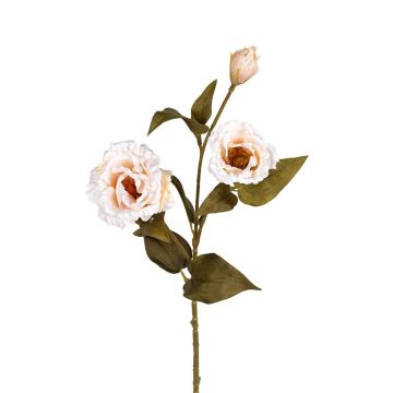Kunst Zweig Lisianthus ELIEHNA, creme, 70cm Kunst Zweig Lisianthus ELIEHNA, creme, 70cm