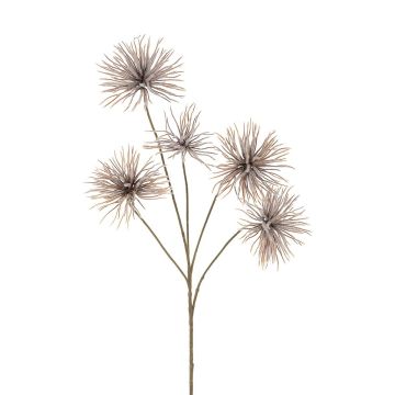 Kunst Zweig Zaubernuss IWELIMA mit Blüten, beige, 100cm Kunst Zweig Zaubernuss IWELIMA mit Blüten, beige, 100cm