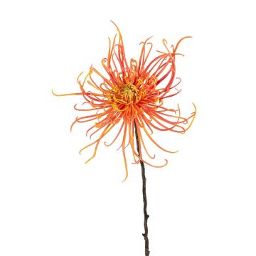 Kunst Chrysantheme GAVELIA, lachs, 70cm Kunst Chrysantheme GAVELIA, lachs, 70cm