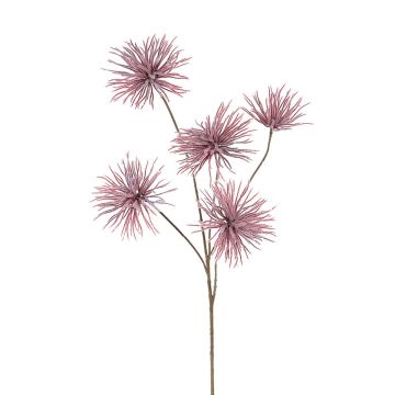 Kunst Zweig Zaubernuss IWELIMA mit Blüten, altrosa, 100cm Kunst Zweig Zaubernuss IWELIMA mit Blüten, altrosa, 100cm