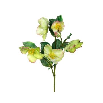 Deko Zweig Christrose POKINA, grün, 45cm Deko Zweig Christrose POKINA, grün, 45cm