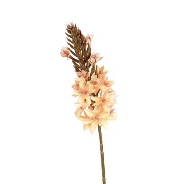 Dekoblume Steppenkerze HINNALE, lachs, 75cm Dekoblume Steppenkerze HINNALE, lachs, 75cm