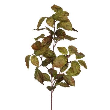 Kunstzweig Buche SAVERIA, dunkelgrün, 70cm Kunstzweig Buche SAVERIA, dunkelgrün, 70cm