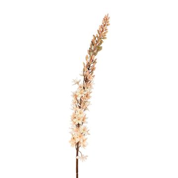 Dekoblume Steppenkerze SINDABE, lachs, 105cm Dekoblume Steppenkerze SINDABE, lachs, 105cm