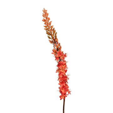 Dekoblume Steppenkerze SINDABE, orange, 105cm Dekoblume Steppenkerze SINDABE, orange, 105cm