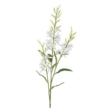 Dekozweig Prachtkerze LAYELLA, weiß, 95cm