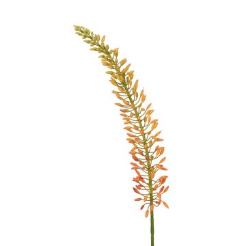Dekoblume Steppenkerze LIBABE, orange, 105cm Dekoblume Steppenkerze LIBABE, orange, 105cm