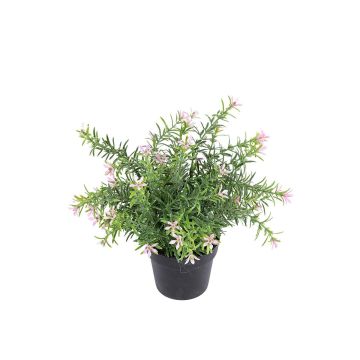 Kunstblume Scheinlobelie DAVELIA im Dekotopf, rosa, 20cm
