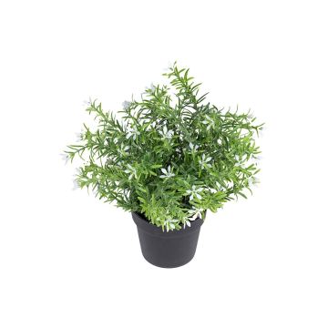 Kunstblume Scheinlobelie DAVELIA im Dekotopf, weiß, 20cm