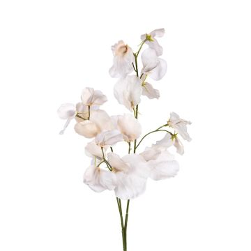 Kunst Zweig Lathyrus latifolius SIREVIA, beige, 70cm Kunst Zweig Lathyrus latifolius SIREVIA, beige, 70cm