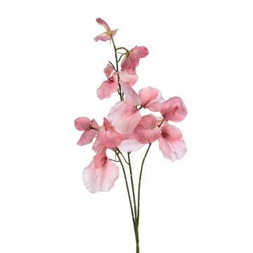 Kunst Zweig Lathyrus latifolius SIREVIA, rosa, 70cm Kunst Zweig Lathyrus latifolius SIREVIA, rosa, 70cm