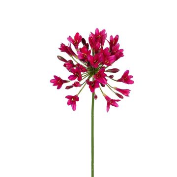 Kunstblume Agapanthus DAMILLAS, pink, 75cm Kunstblume Agapanthus DAMILLAS, pink, 75cm