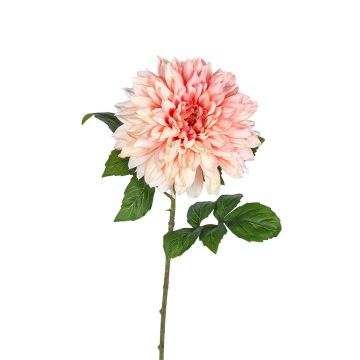 Dekoblume Dahlie ZURIANNA, lachs, 70cm Dekoblume Dahlie ZURIANNA, lachs, 70cm