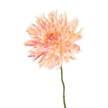 Dekoblume Dahlie ELOVYN, koralle, 70cm Dekoblume Dahlie ELOVYN, koralle, 70cm