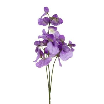 Kunst Zweig Lathyrus latifolius SIREVIA, lila, 70cm Kunst Zweig Lathyrus latifolius SIREVIA, lila, 70cm
