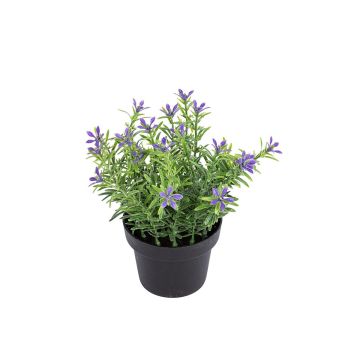 Kunstblume Scheinlobelie DAVELIA im Dekotopf, lila, 15cm