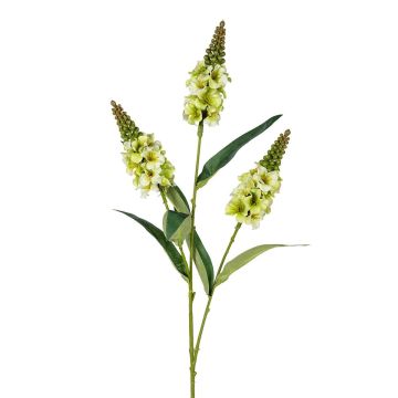 Kunst Zweig Lupine IPIANSA, grün, 75cm Kunst Zweig Lupine IPIANSA, grün, 75cm