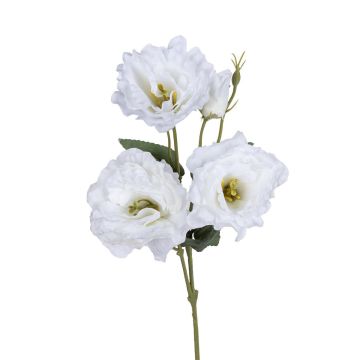 Kunst Zweig Lisianthus ENILABE, weiß, 55cm Kunst Zweig Lisianthus ENILABE, weiß, 55cm