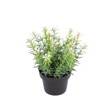 Kunstblume Scheinlobelie DAVELIA im Dekotopf, rosa, 15cm