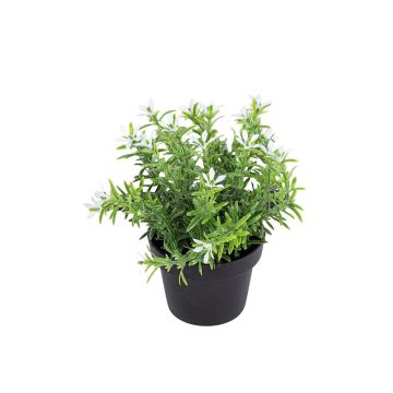 Kunstblume Scheinlobelie DAVELIA im Dekotopf, weiß, 15cm