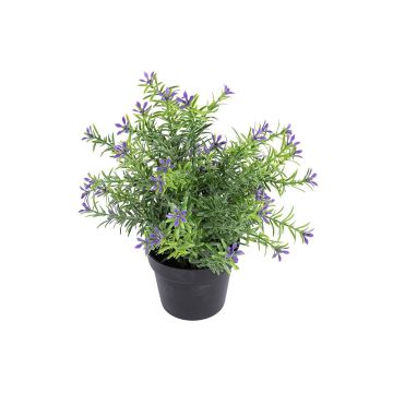 Kunstblume Scheinlobelie DAVELIA im Dekotopf, lila, 20cm
