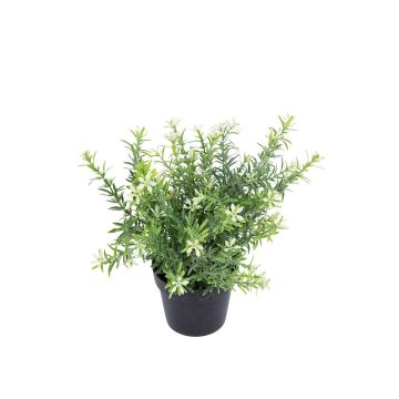 Kunstblume Scheinlobelie DAVELIA im Dekotopf, gelb, 20cm