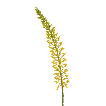 Dekoblume Steppenkerze LIBABE, gelb, 105cm Dekoblume Steppenkerze LIBABE, gelb, 105cm