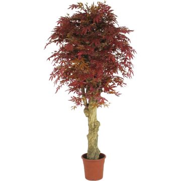 Kunstbaum Japanischer Ahorn ATEMIS, Naturstamm, rot-braun, 200cm - Made in Italy
