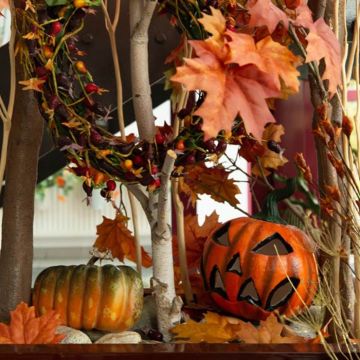 Der Herbst zieht ein