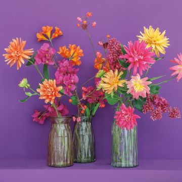 Sonnengeküsst & Farbenverliebt