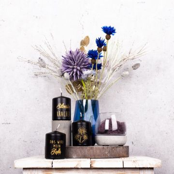 Silvester – This will be my year! Silvester – This will be my year!