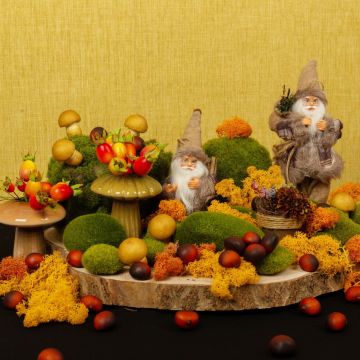 Zwergen Besuch im Auenland