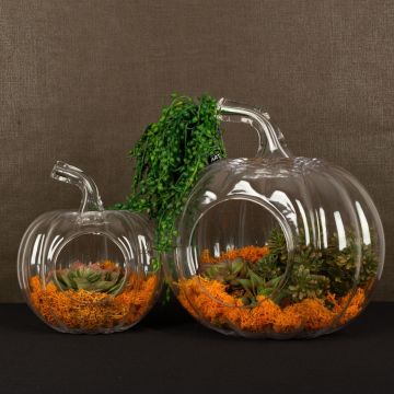 Don’t smash that Pumpkin