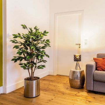 Green Roommate Part 2