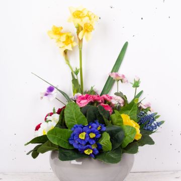 My little Garden My little Garden