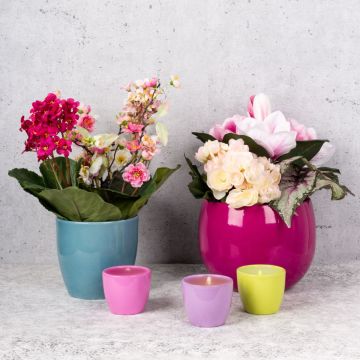 Early Summer Inspiration