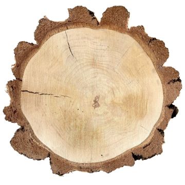 Birke Holzscheibe MORGANIE, natur, Ø34-47cm