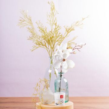 Blossom Bliss Spa Blossom Bliss Spa