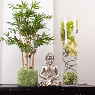 Asian Relaxation Asian Relaxation