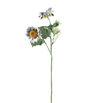 Plastik Zweig Sonnenblume HAITALA, Eco Collection, grau-blau, 65cm, Ø9-10cm Plastik Zweig Sonnenblume HAITALA, Eco Collection, grau-blau, 65cm, Ø9-10cm