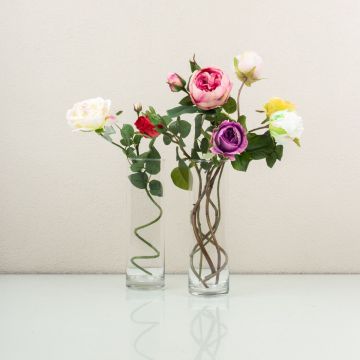 Dornröschens Choice Dornröschens Choice