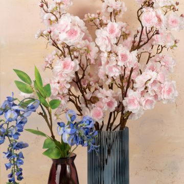 Enjoy Spring