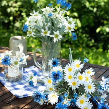 Oktoberfest - O’zapft is Oktoberfest - O’zapft is