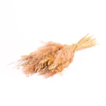 Getrockneter Strauß EISTLA, natur, 50cm, Ø23cm