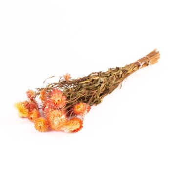 Strohblumen Strauß ALMINKA, getrocknet, gelb-orange, 50-60cm, Ø15cm