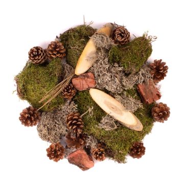 Streudeko QUIKISA aus Moos, Zapfen, Holz, Flechten, grün-braun, 500g Streudeko QUIKISA aus Moos, Zapfen, Holz, Flechten, grün-braun, 500g