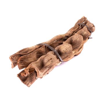 Bündel aus getrockneten Lianenstücken Cipo Escada NALLESTE, 5 Stück, natur, 60cm