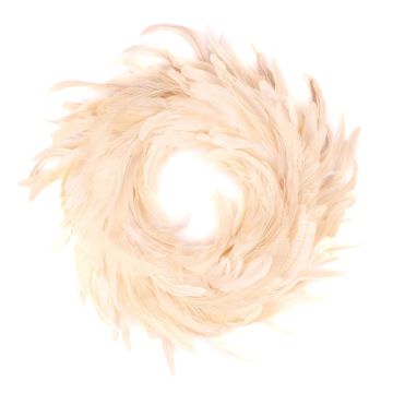 Naturdeko Pfauenfedern Kranz NORDIAN, weiß gebleicht, Ø50cm Naturdeko Pfauenfedern Kranz NORDIAN, weiß gebleicht, Ø50cm
