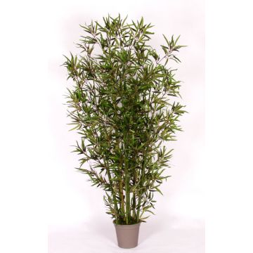 Deko Bambus HILDEMARA, Natürliche Bambusstäbe, crossdoor, 175cm - Made in Italy